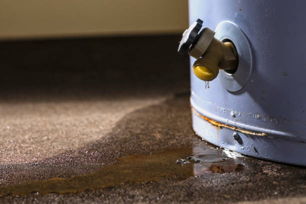 Best Flood damage cleanup  in Shepherd, MI
