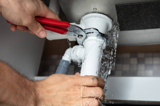 Best Local water damage restoration  in Shepherd, MI