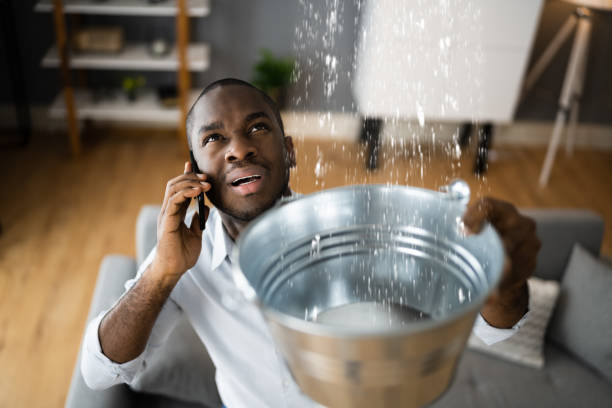 Best Emergency water damage restoration  in Shepherd, MI
