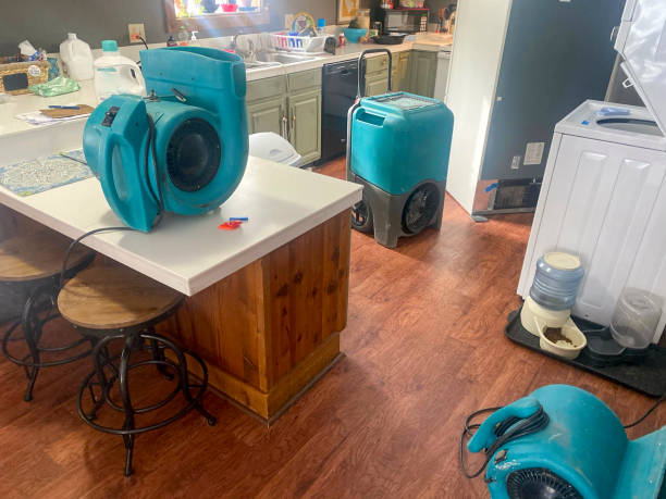 Best Emergency water damage restoration  in Shepherd, MI