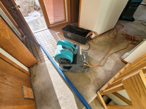 Best 24/7 water damage repair  in Shepherd, MI