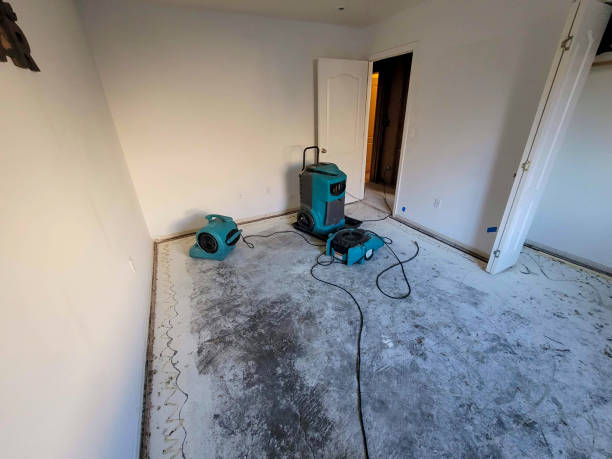 Best Water damage restoration near me  in Shepherd, MI