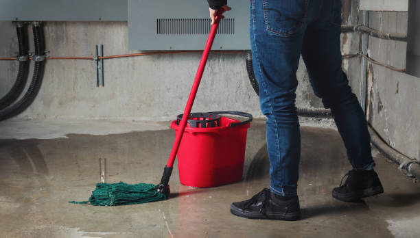 Best Carpet water damage restoration  in Shepherd, MI