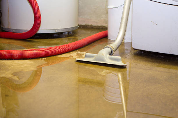Best Residential water damage restoration  in Shepherd, MI