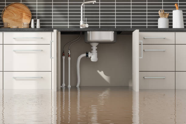 Water damage restoration insurance claims in Shepherd, MI