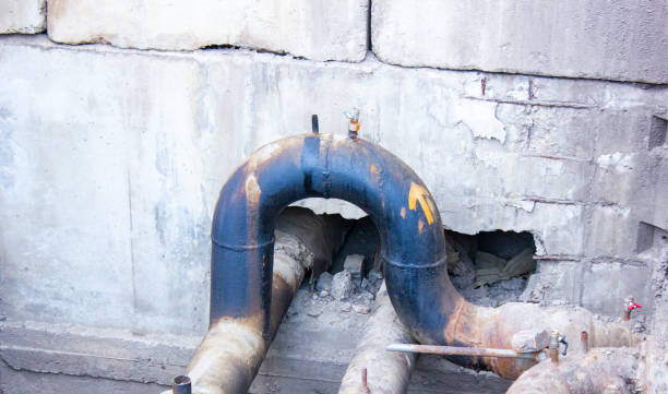 Best Water damage restoration near me  in Shepherd, MI